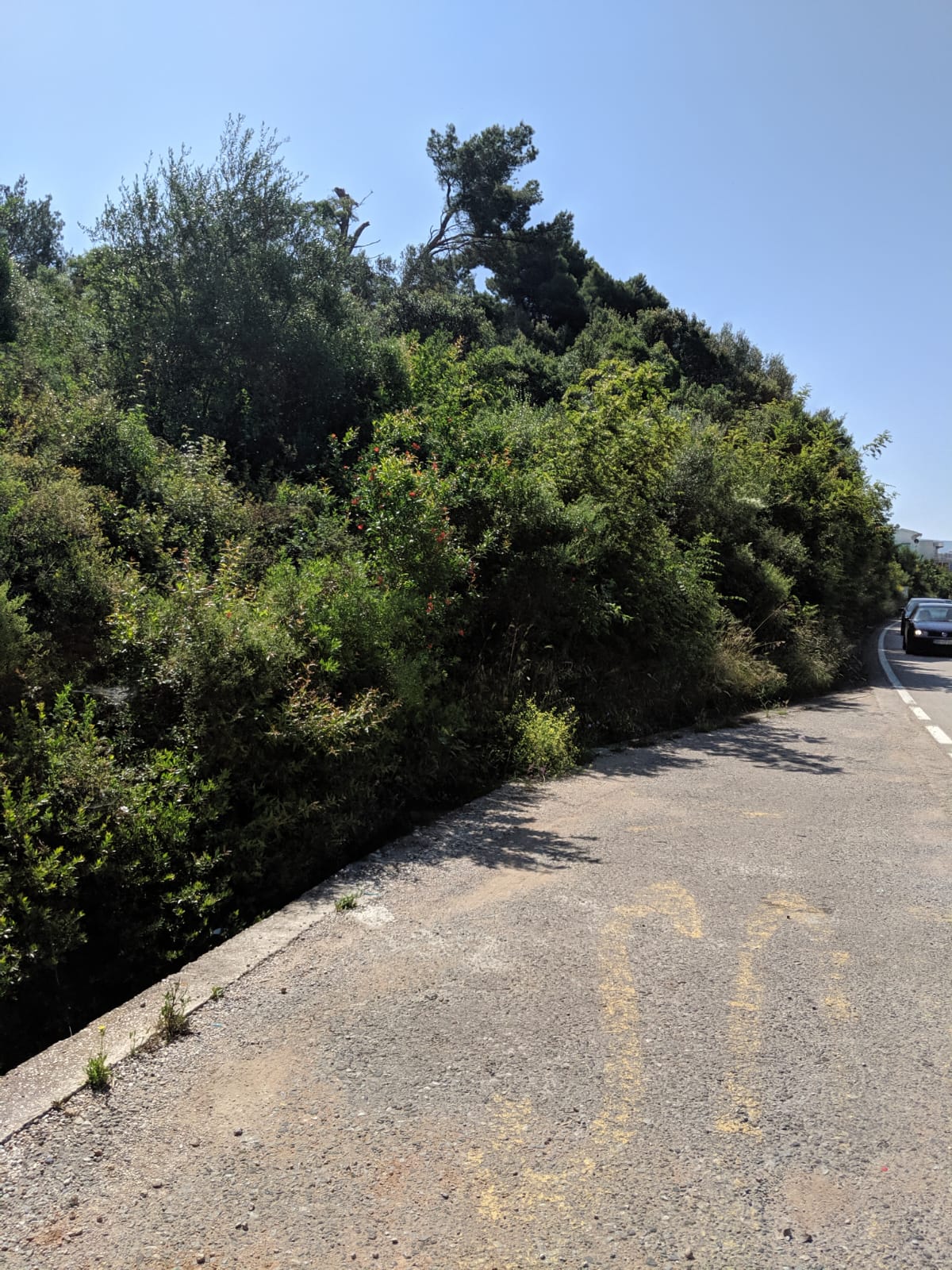 Urbanizovano zemljište na prodaju Dobre Vode 482m2 - 6