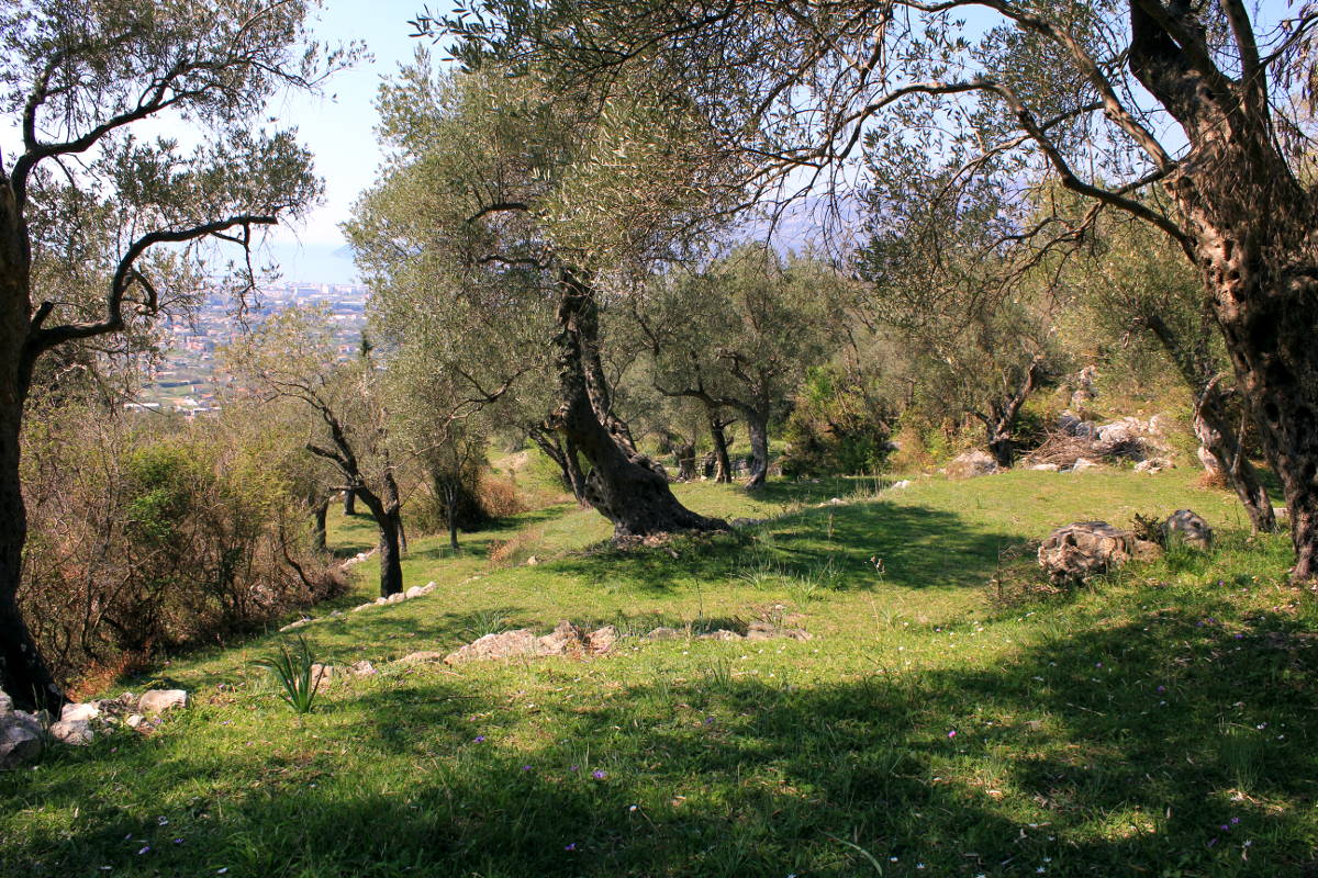 Bar'da 9409m2 Arsa - 2