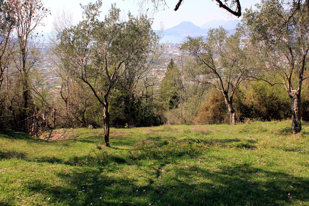 Bar'da 9409m2 Arsa - 5