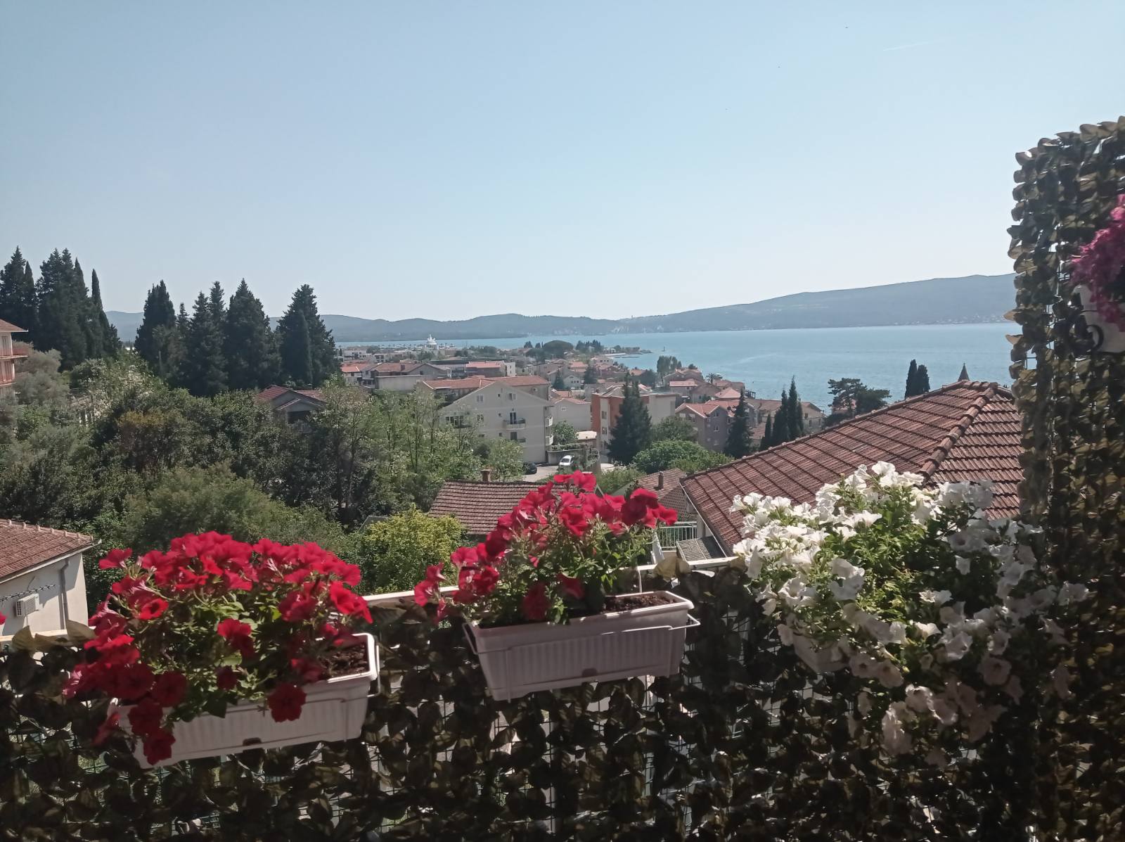 Tivat - Property photo