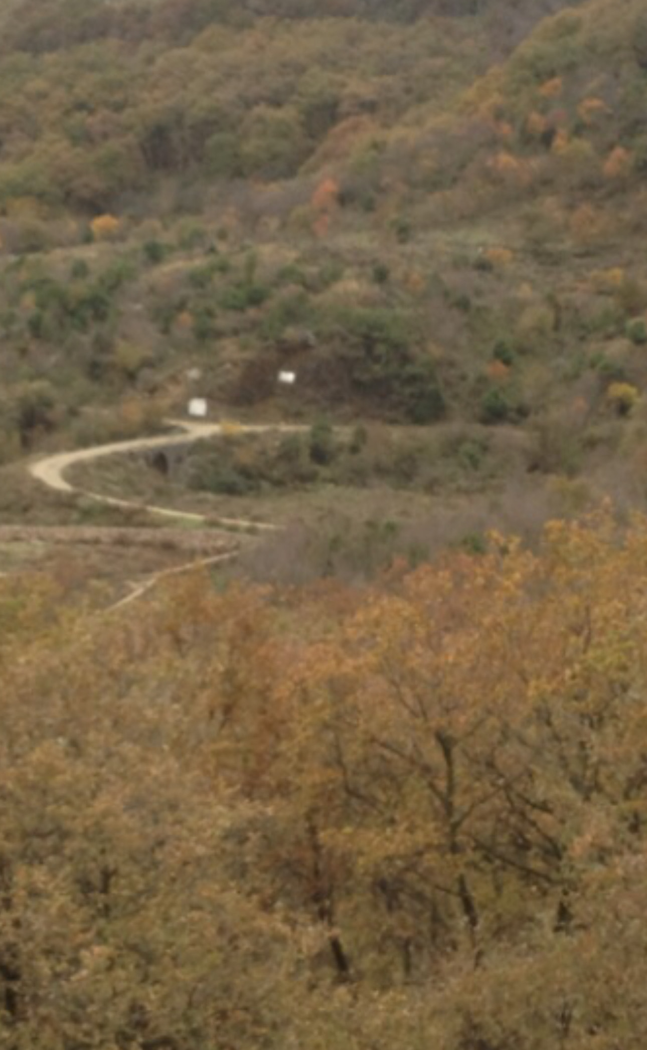 Zemljište Bar 2495m2 - 2