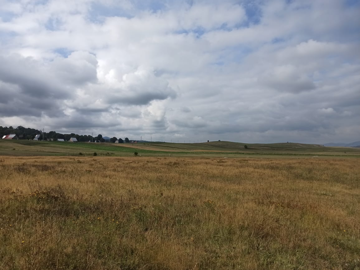 Plot Zabljak 5435m2 - 3