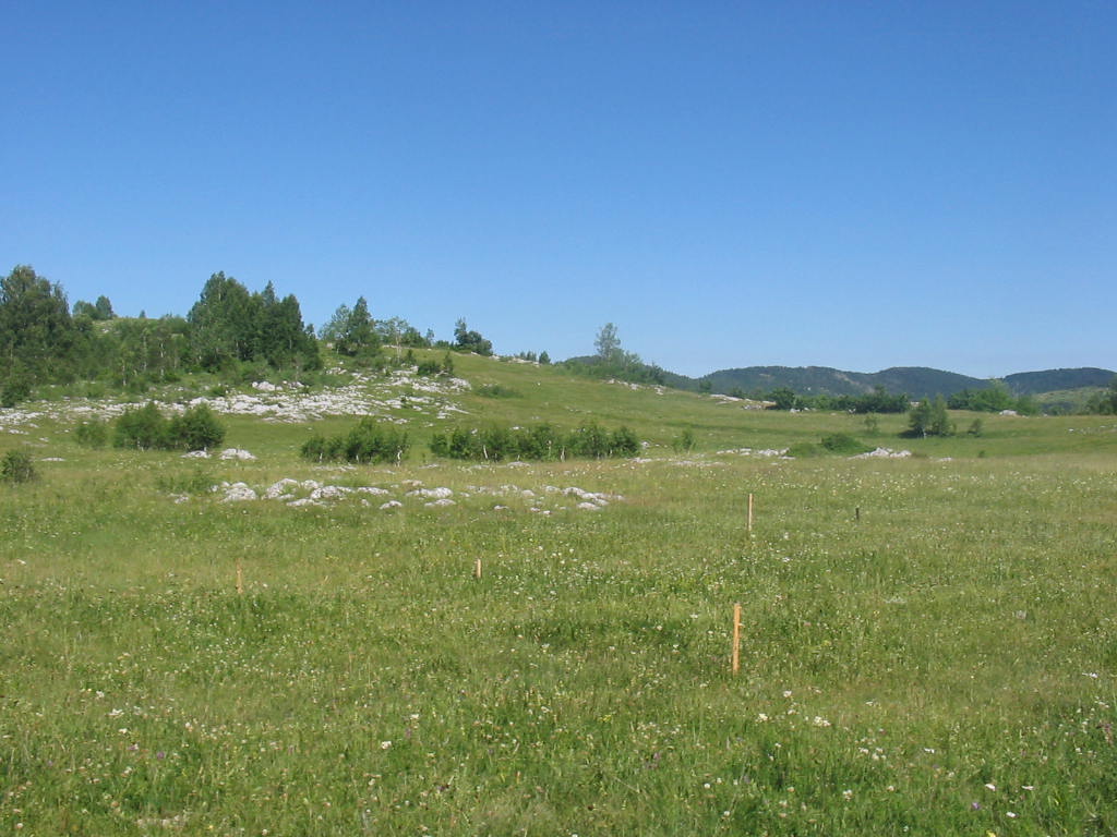 Urbanized Plot Zabljak 4696m2 - 3