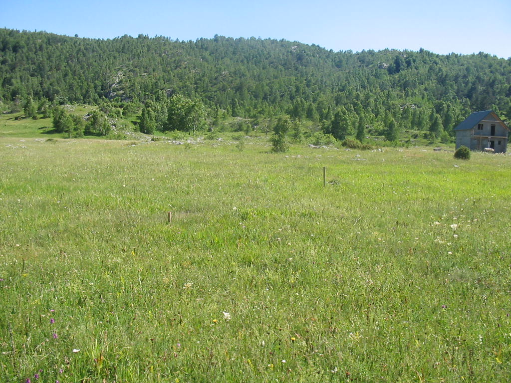 Urbanized Plot Zabljak 4696m2 - 6