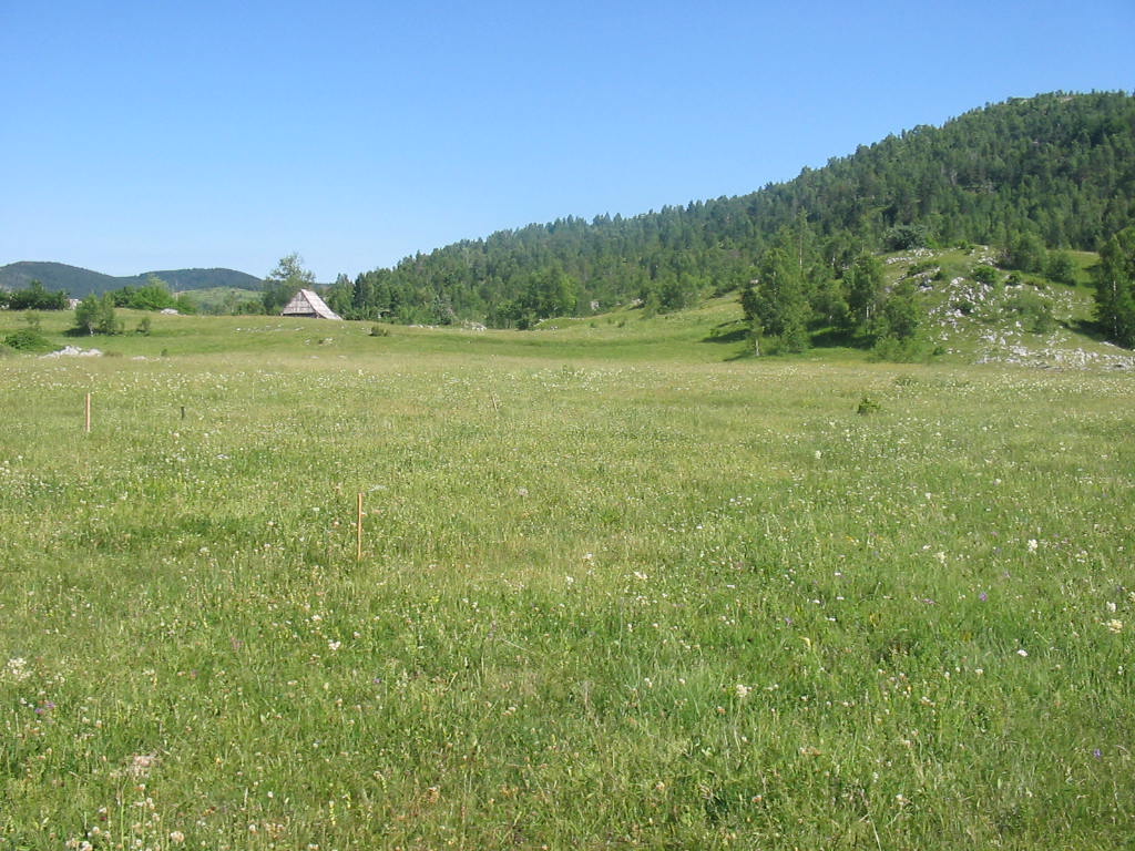 Urbanized Plot Zabljak 4696m2 - 4
