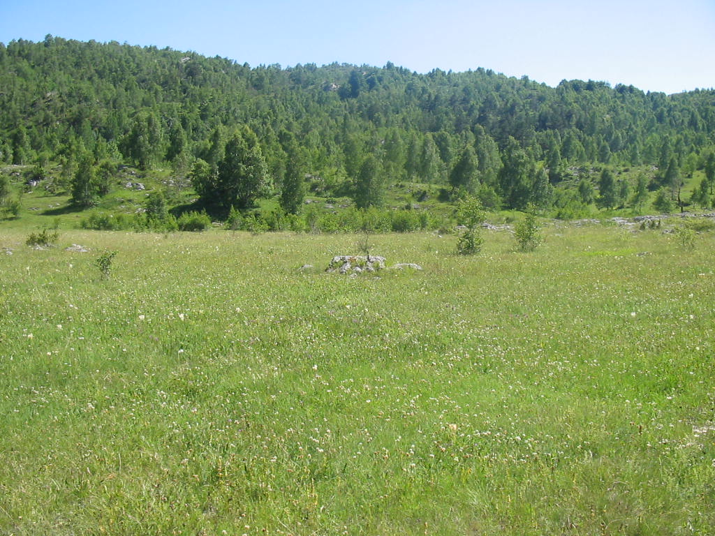 Urbanized Plot Zabljak 4696m2 - 5