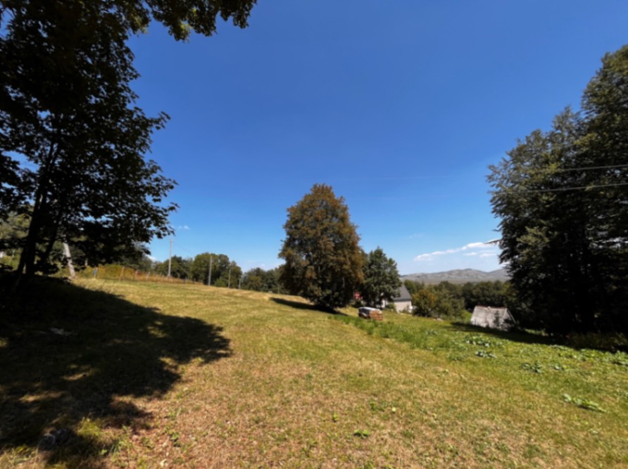 Land Pasina Voda 12000m2 - 4