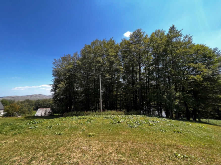 Land Pasina Voda 12000m2 - 5