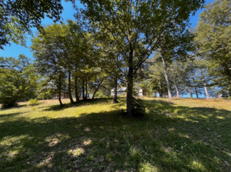 Land Pasina Voda 12000m2 - 3