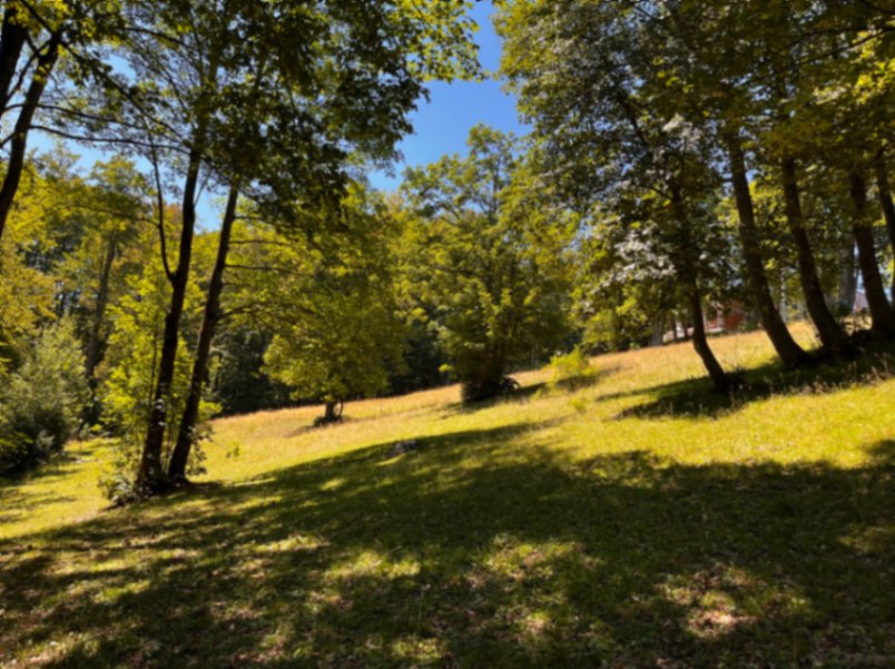 Land Pasina Voda 12000m2 - 10