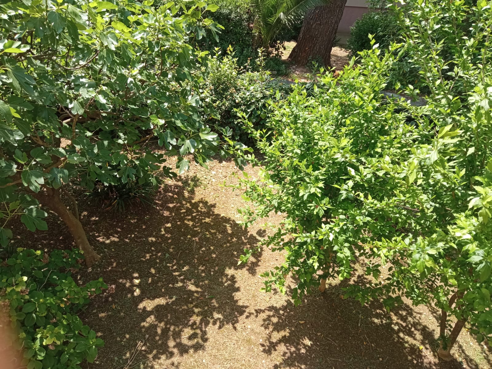 Apartment Dobrota 80m2 - 9