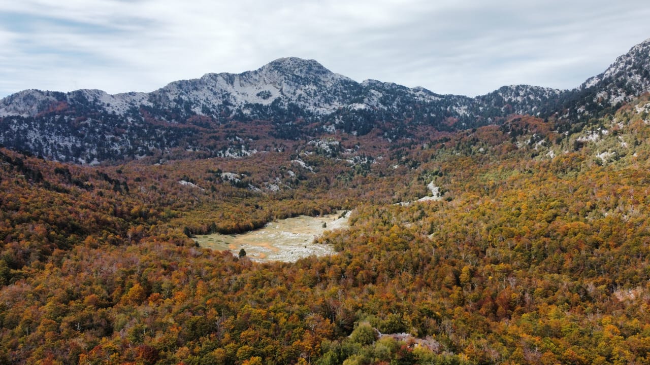 Land Kotor 6368373m2