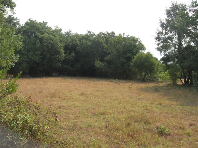 Urbanized Plot Vranovici 15613m2