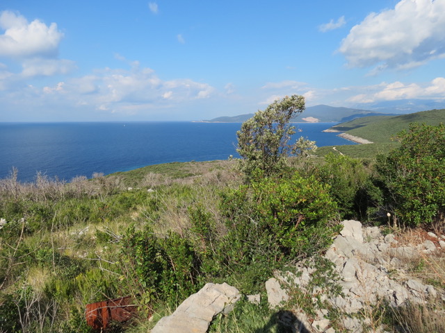 Urbanized Plot Zukovica 2216m2 - 3