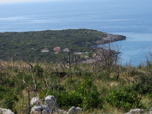 Urbanized Plot Zukovica 2216m2 - 2