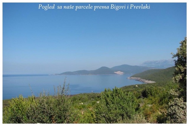 Urbanized Plot Zukovica 2216m2 - 4