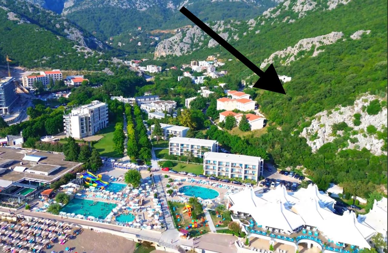 Plot Čanj 2491m2 - 8