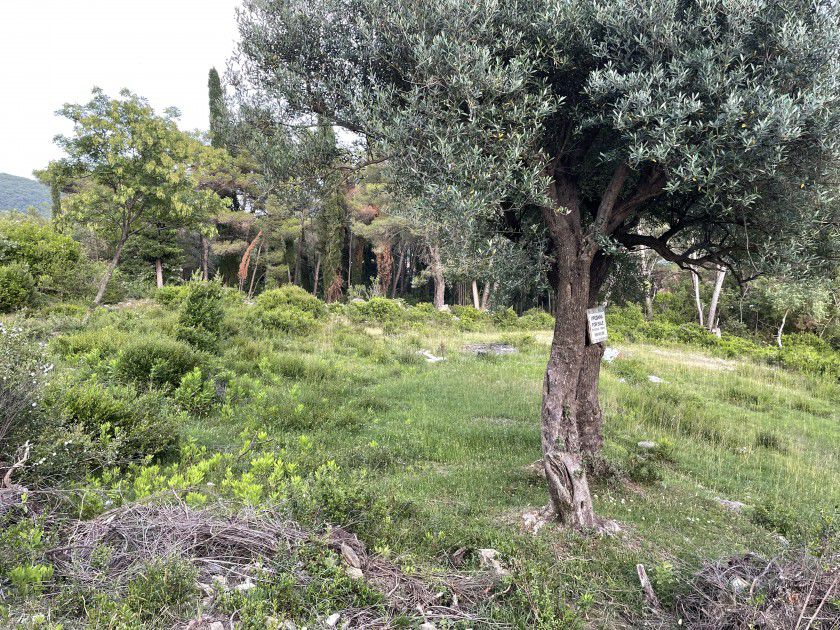 Urbanized Plot Mojdez 1353m2 - 3