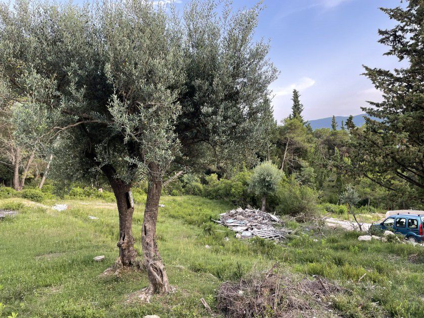 Urbanized Plot Mojdez 1353m2 - 2