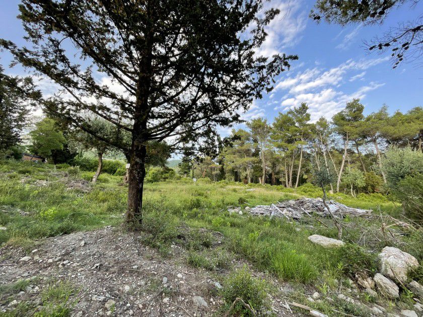 Urbanized Plot Mojdez 1353m2 - 8