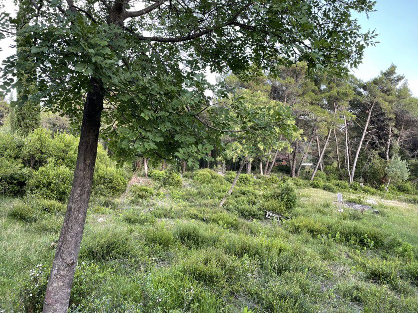 Urbanized Plot Mojdez 1353m2 - 10