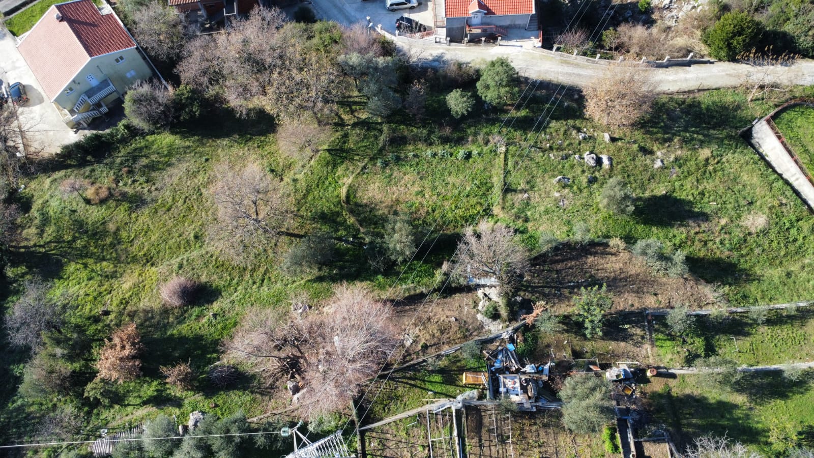 Plot Topla 3000m2 - 7