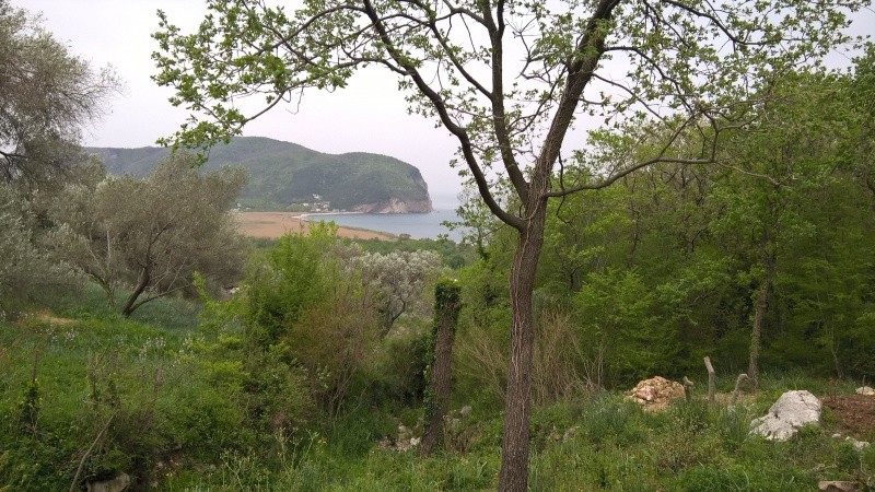 Urbanizovan Zemljiste Buljarica 2000m2 - 3