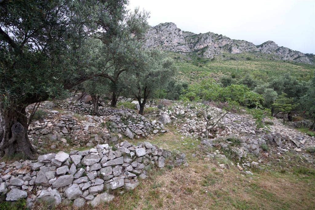 Land Rezevici 2650m2 - 13