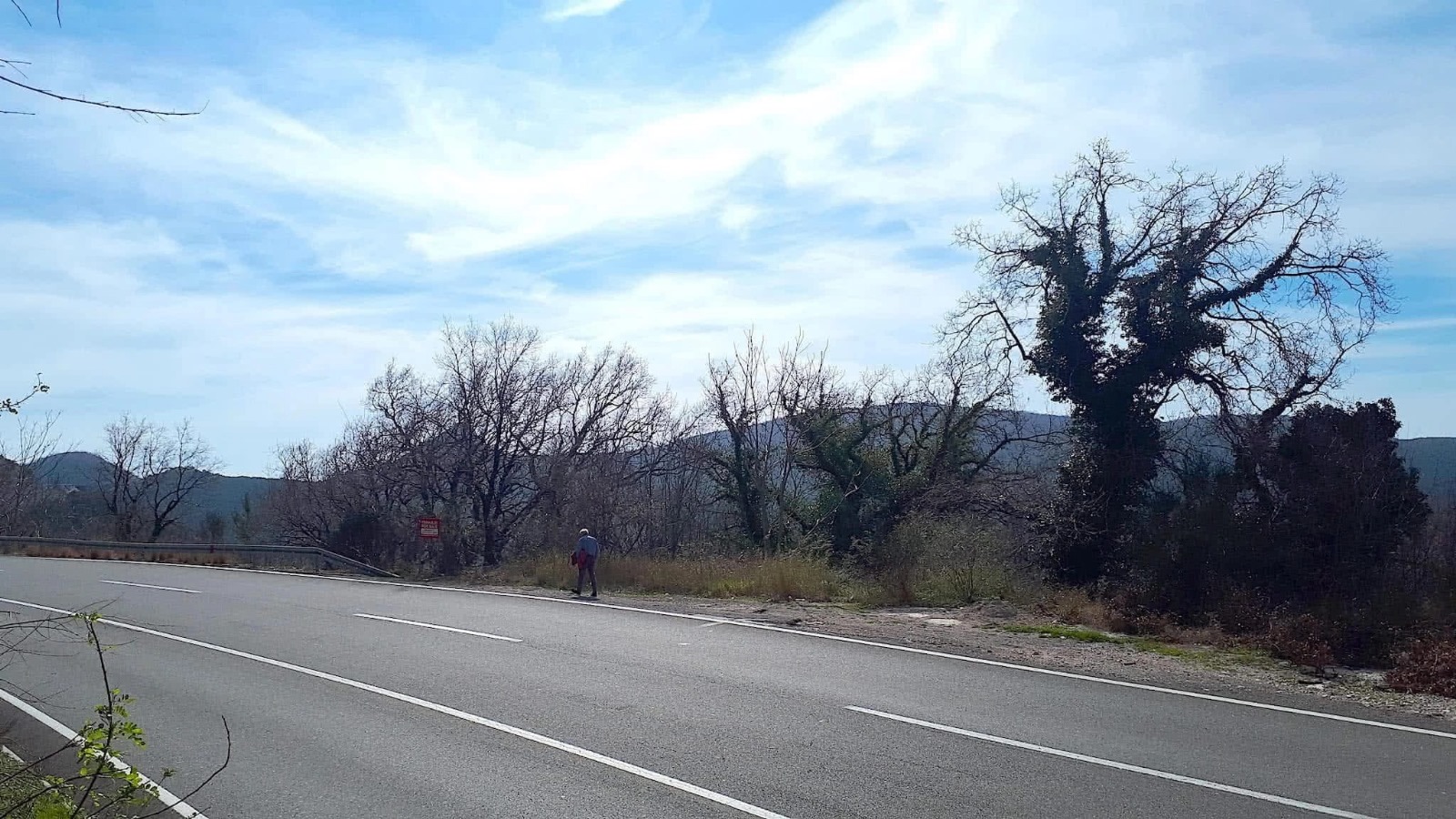 Zemljiste Buljarica 15804m2 - 2