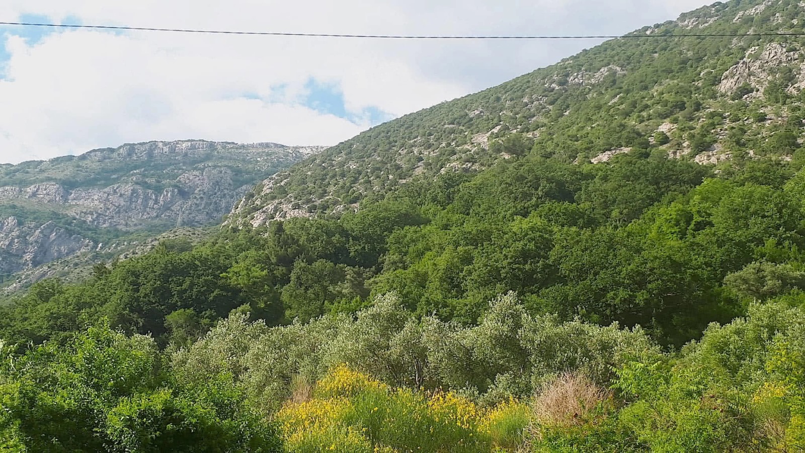 Zemljiste Buljarica 15804m2 - 3