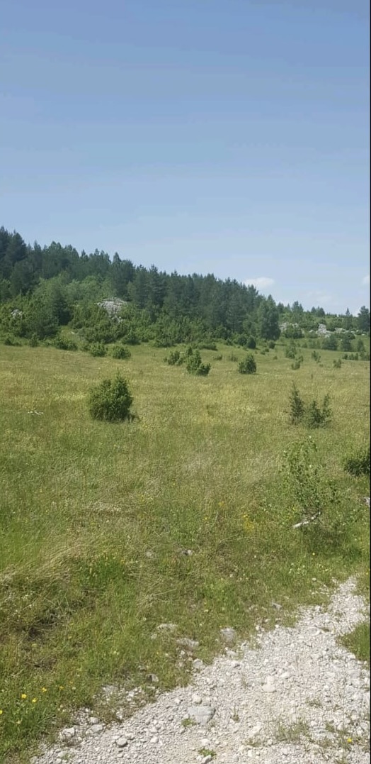 Land Zabljak 28400m2 - 2