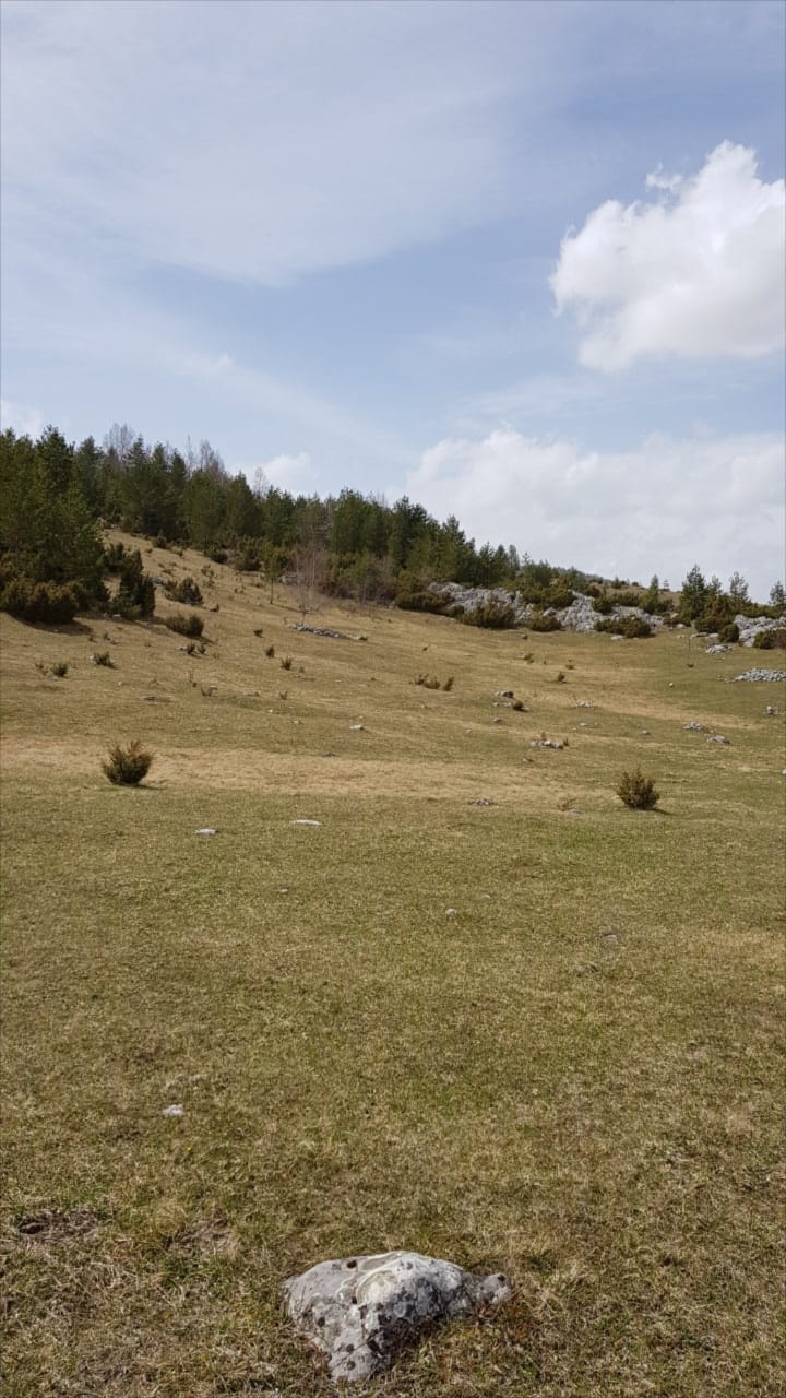 Land Zabljak 28400m2 - 3