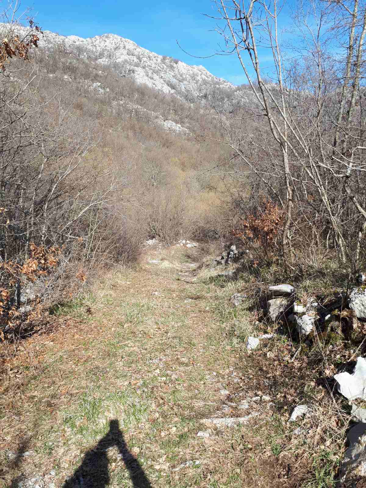 Land Kotor 93700m2 - 3