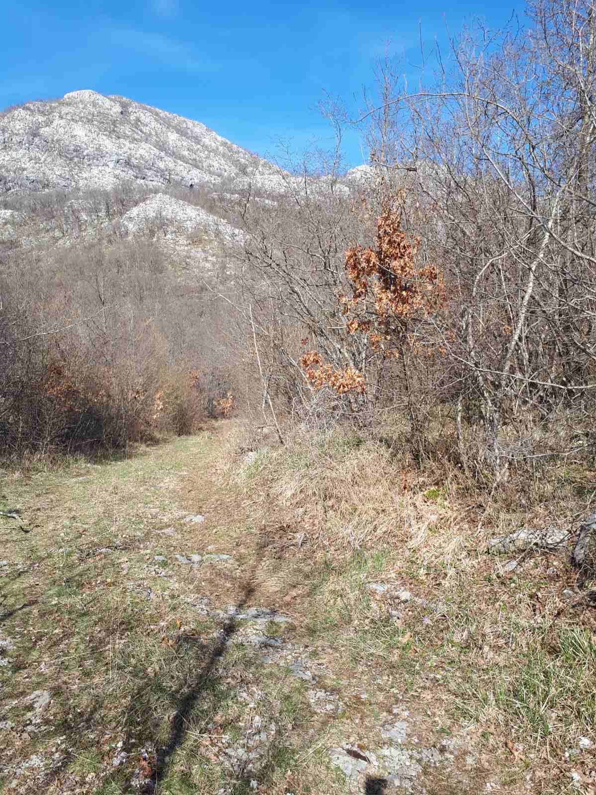 Land Kotor 93700m2 - 2