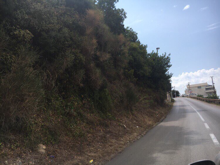 Land Ulcinj 400m2 - 2