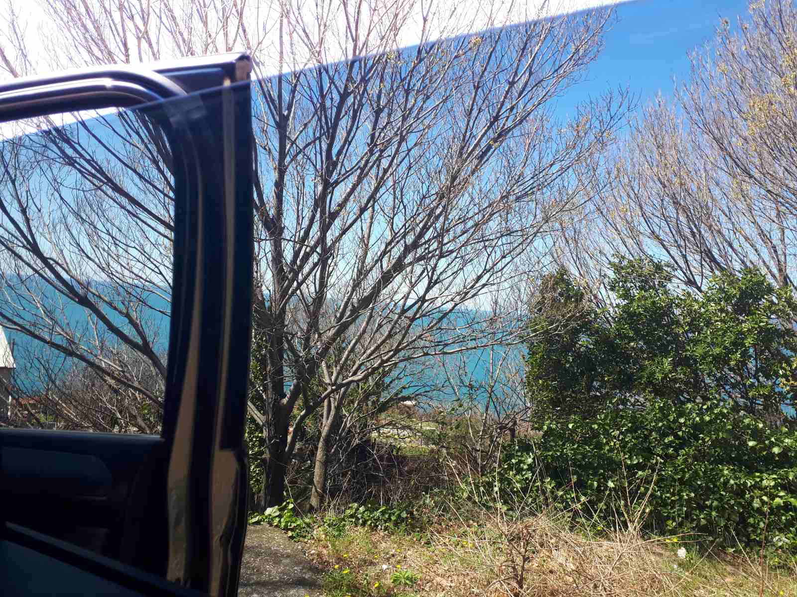 Plac Rezevici 310m2 - 5