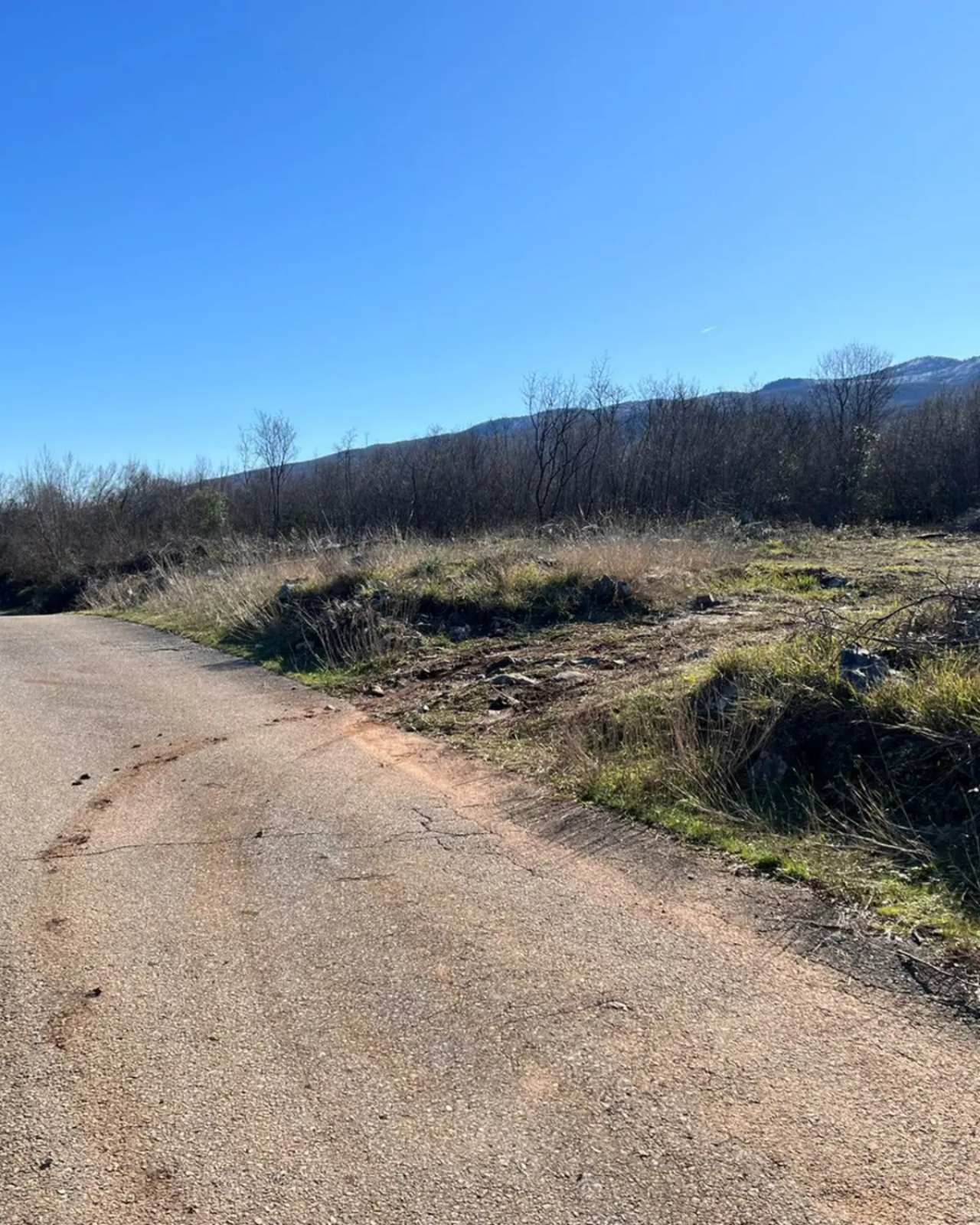 Земельный участок Бандичи 16000м2 - 3