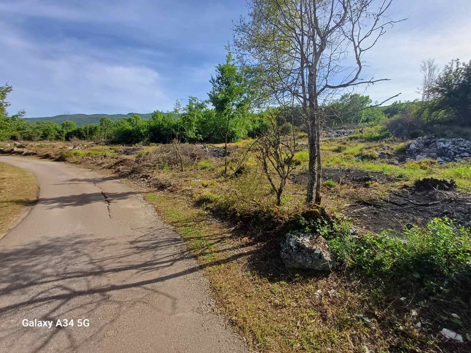 Земельный участок Бандичи 16000м2 - 4