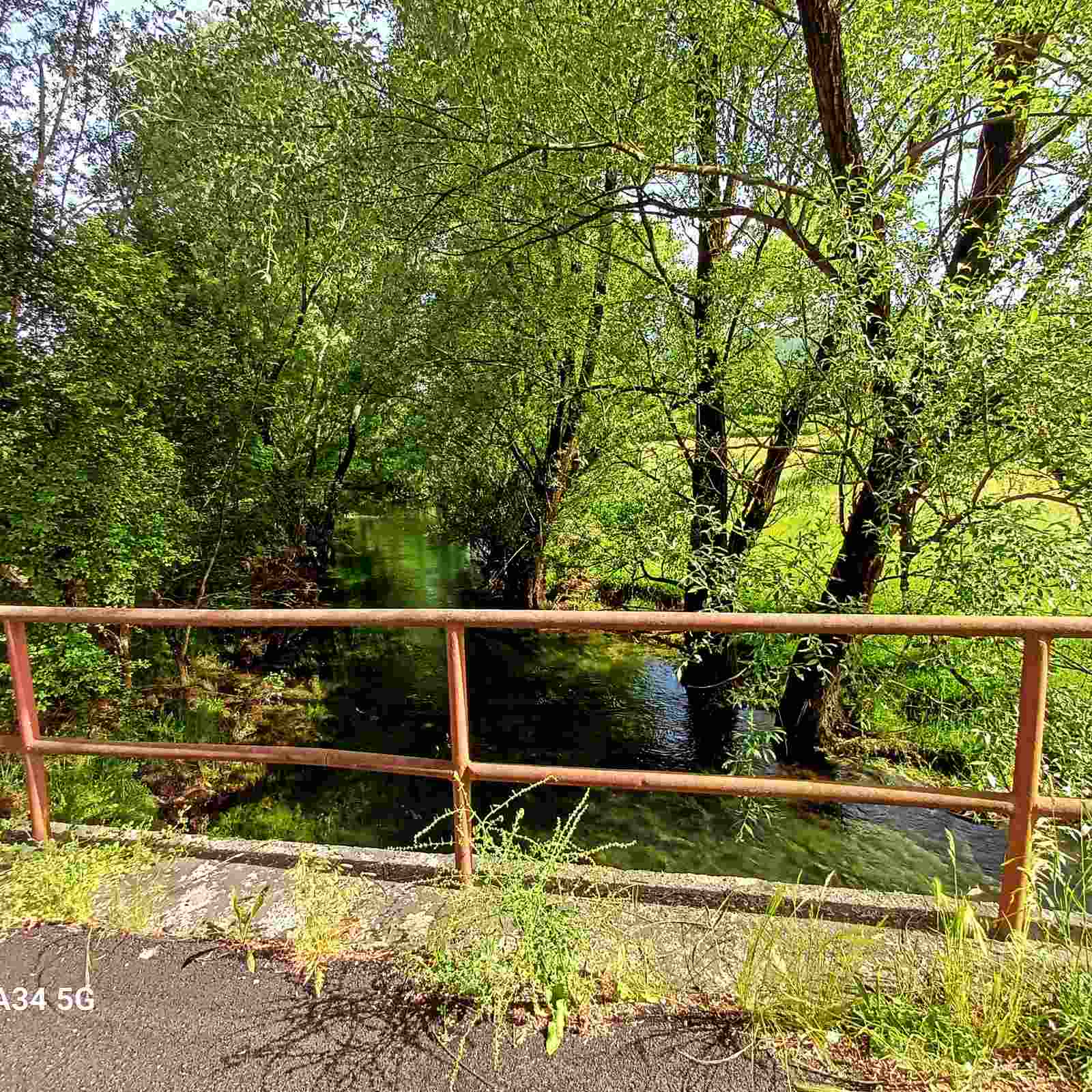 Земельный участок Бандичи 16000м2 - 8