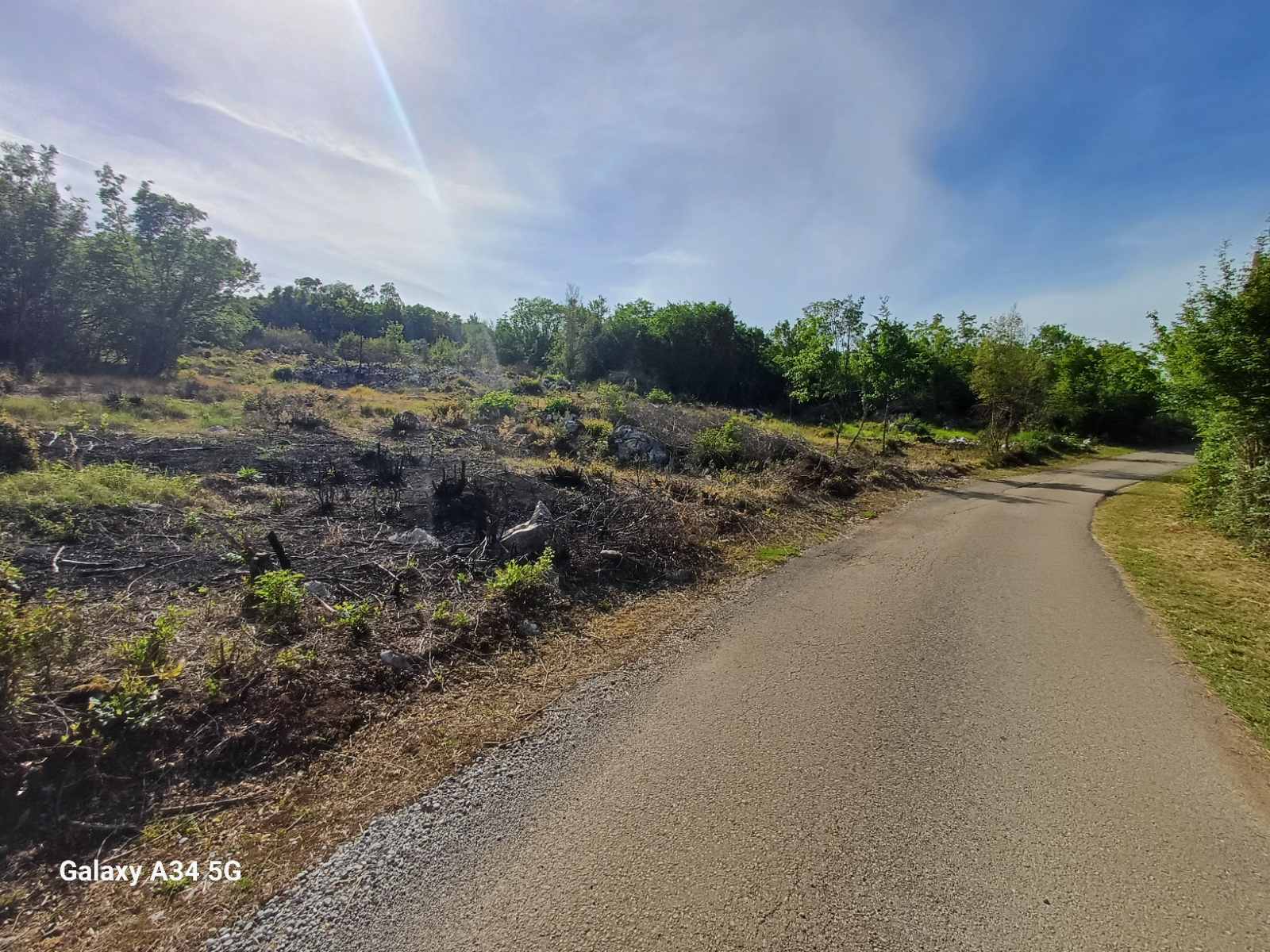 Земельный участок Бандичи 16000м2 - 7