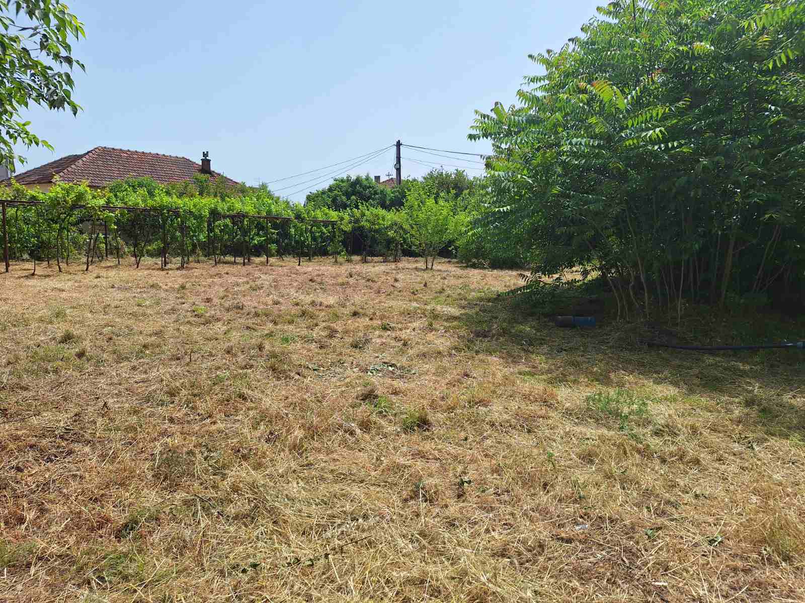 Mahala'da 1323m2'lik Arazi