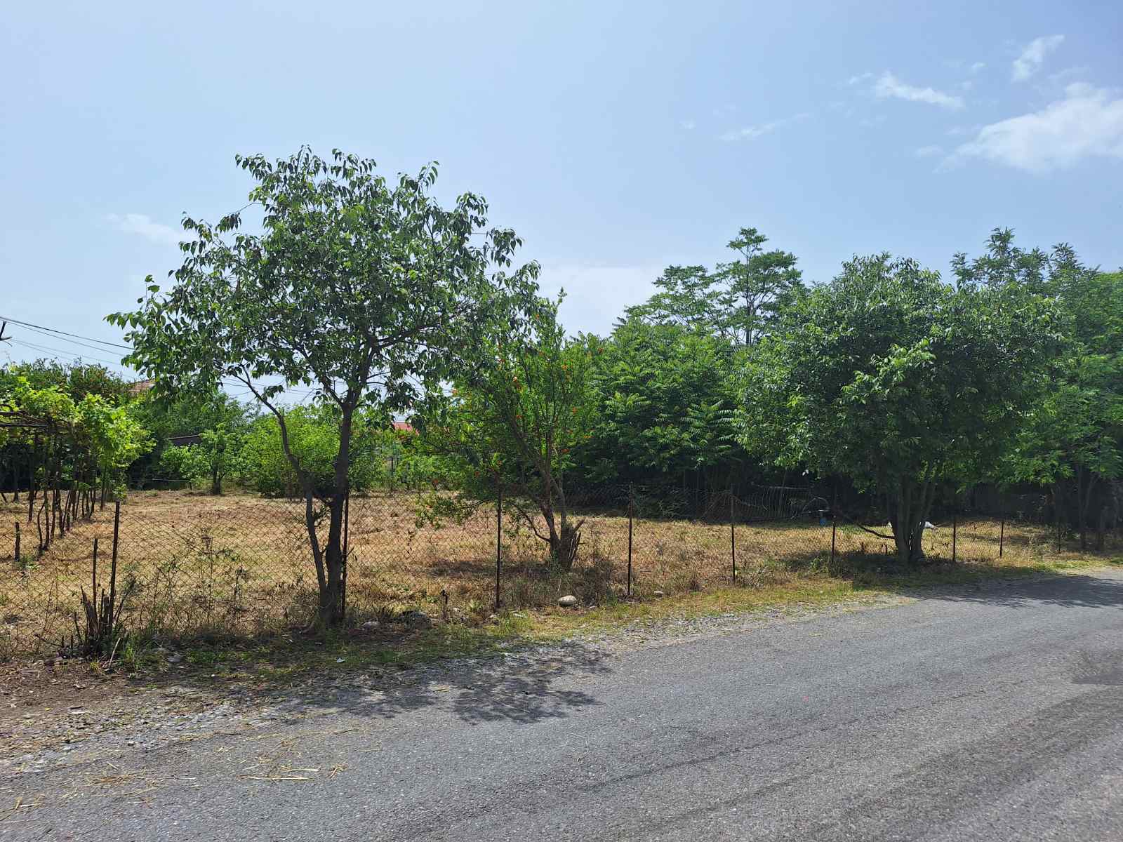 Mahala'da 1323m2'lik Arazi - 4