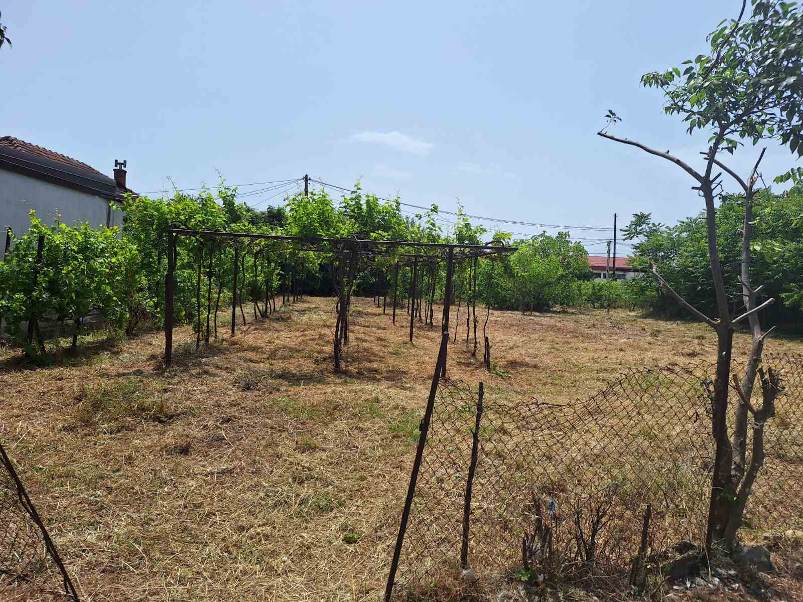 Mahala'da 1323m2'lik Arazi - 5