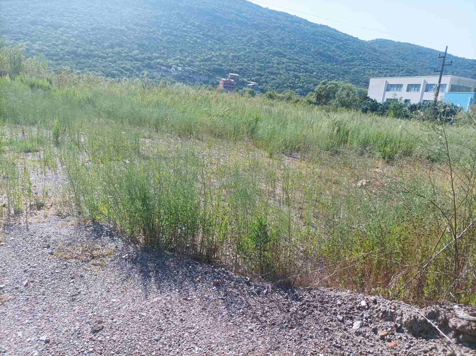 Urbanized Plot Lastva Grbaljska 4400m2 - 6