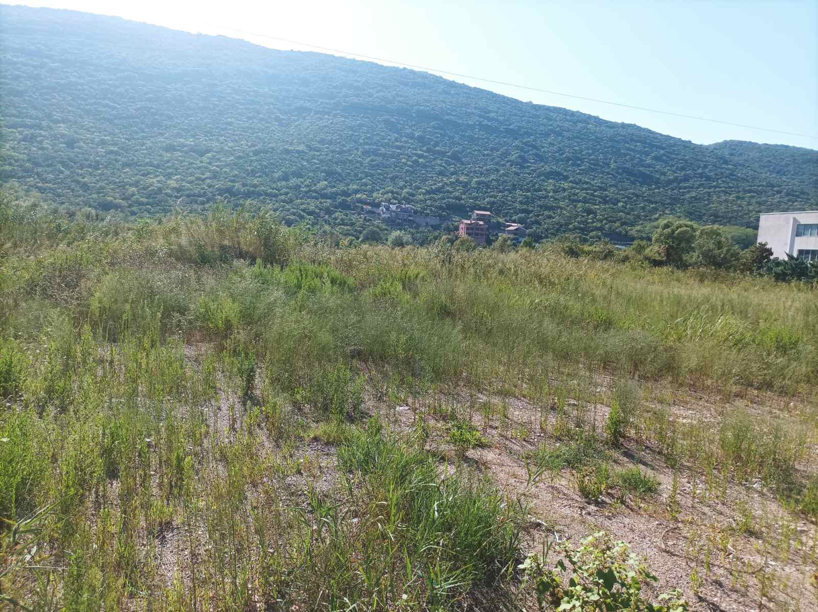 Urbanized Plot Lastva Grbaljska 4400m2