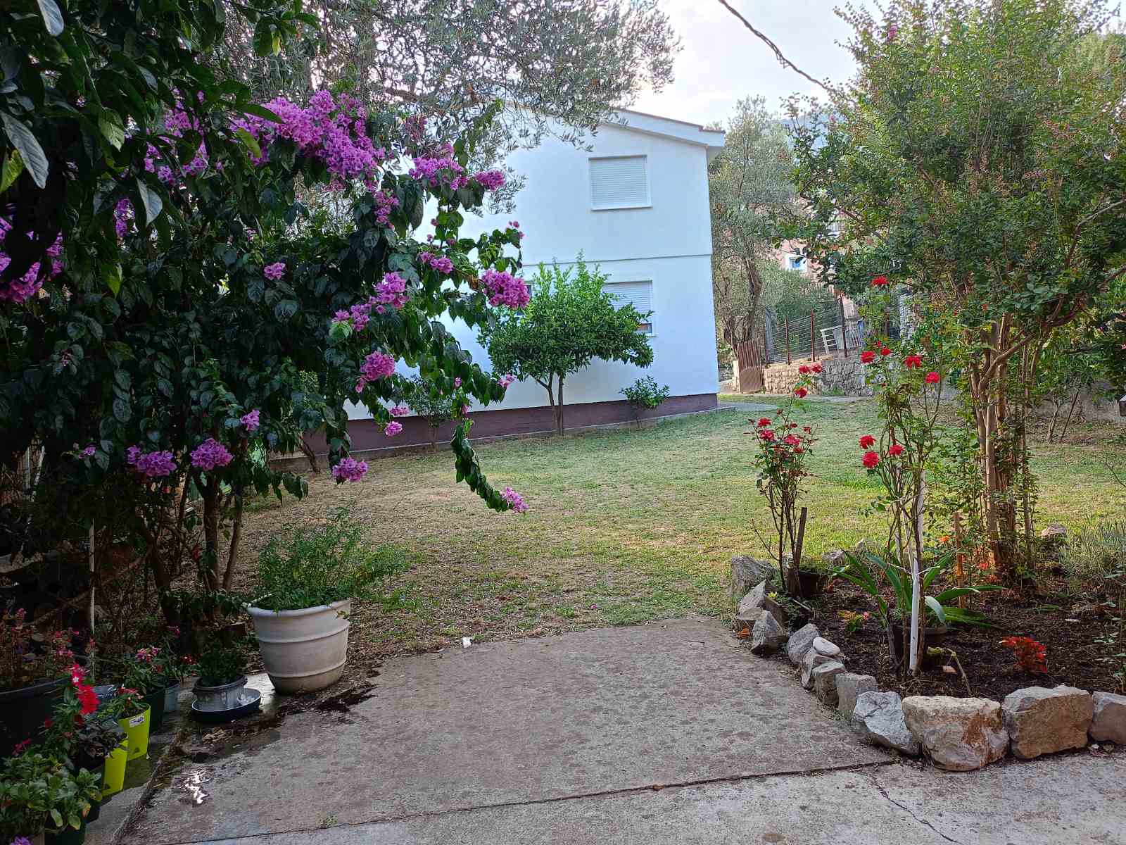 House Petrovac 140m2 - 7