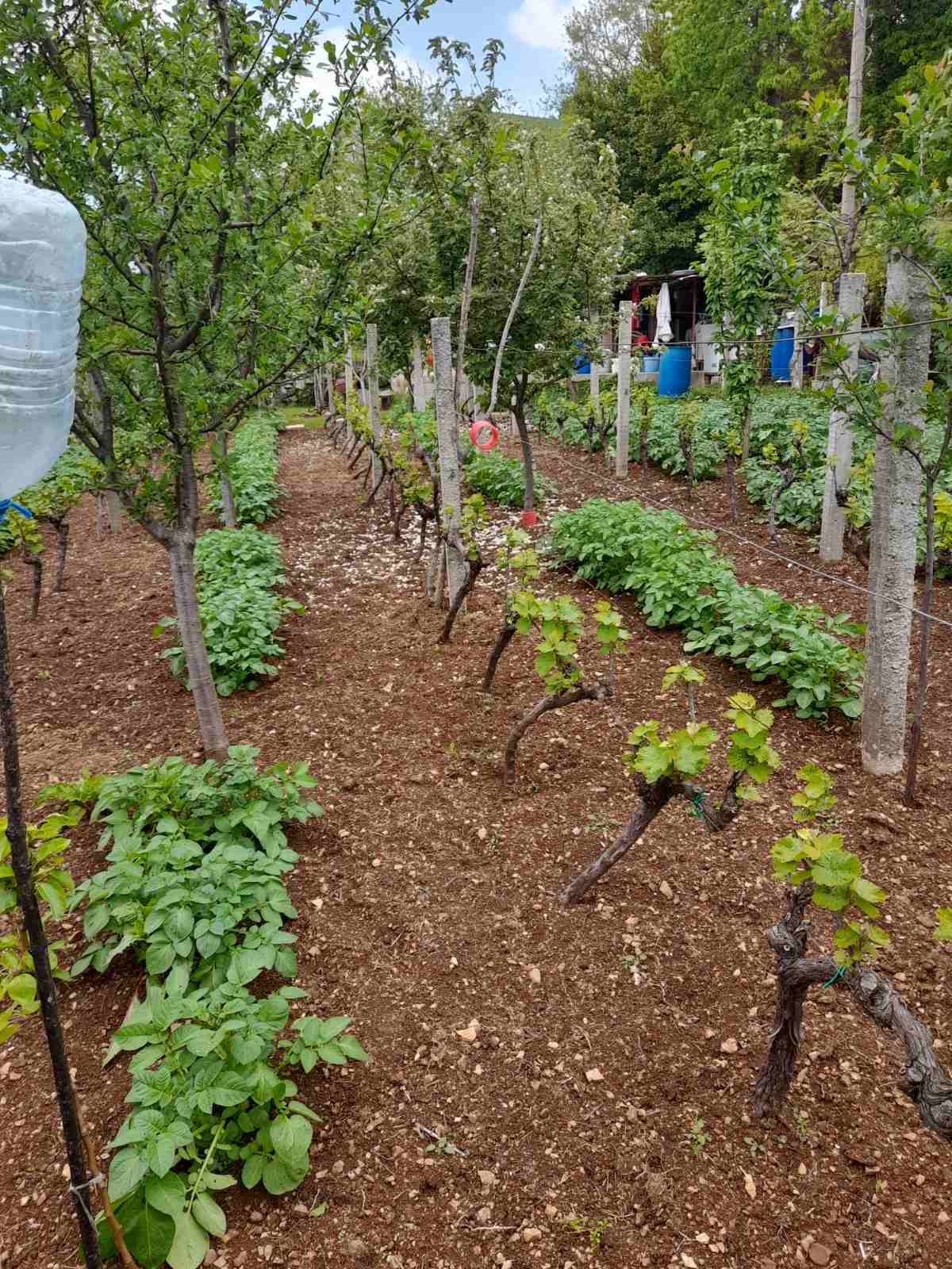Plot Mokrine 700m2  - 2