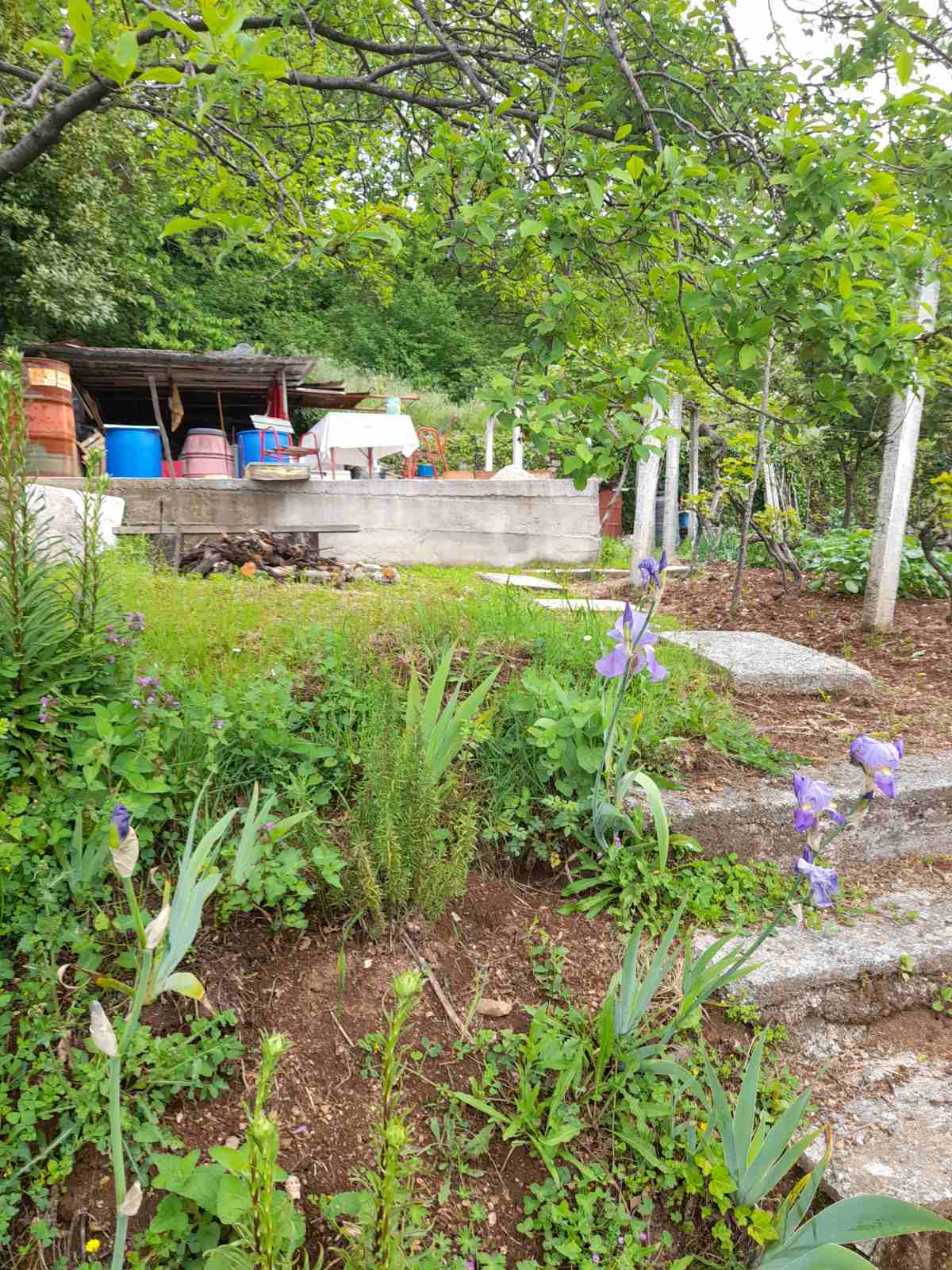 Plot Mokrine 700m2  - 9