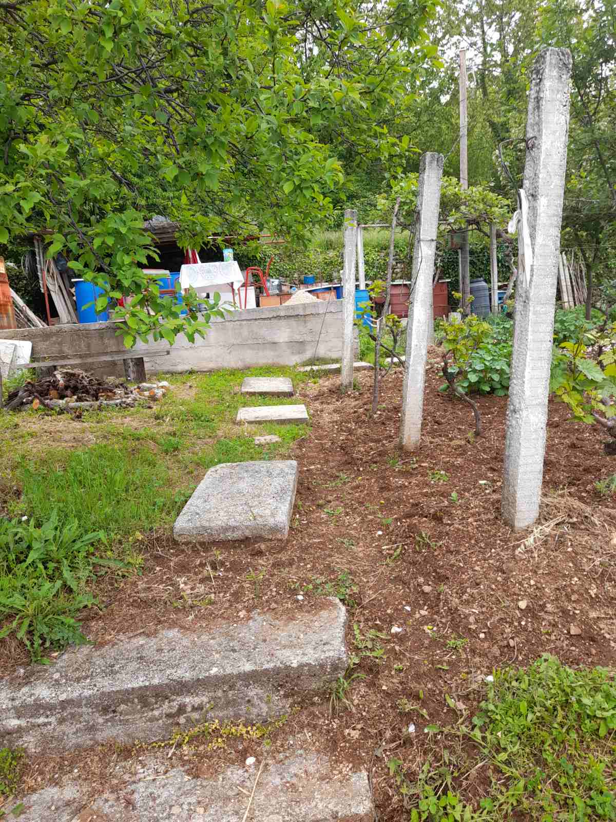 Plot Mokrine 700m2  - 6
