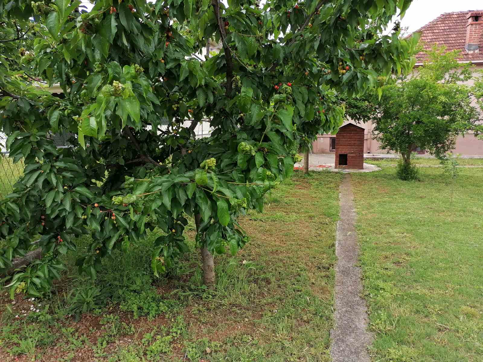 Kuca Tolosin 190m2 - 3